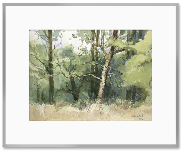 84 Aquarel - Ter Horsterzand 2024